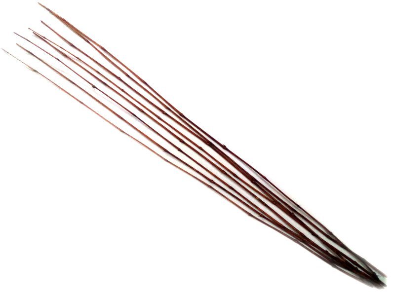 Ветки декоративные (Бамбук) 160-170см (толщина 5мм) цв. коричневый